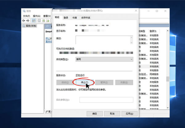快连电脑版部分Network Service需要进行哪些设置