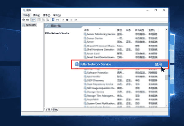 快连电脑版部分Network Service需要进行哪些设置